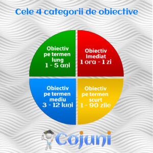 Cele 4 categorii de obiective